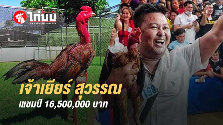 ยกเดียวจบ! เยียร์สุวรรณล่อสวย–เข้าแผลแม่น คว้าแชมป์ 16.5 ล้าน
			         		
			         