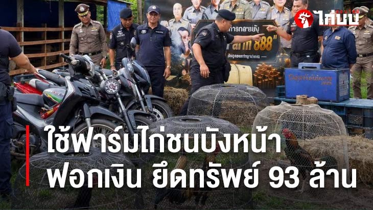 			         	ใช้ฟาร์มไก่ชนบังหน้าฟอกเงิน ยึดทรัพย์ 93 ล้าน		
			         