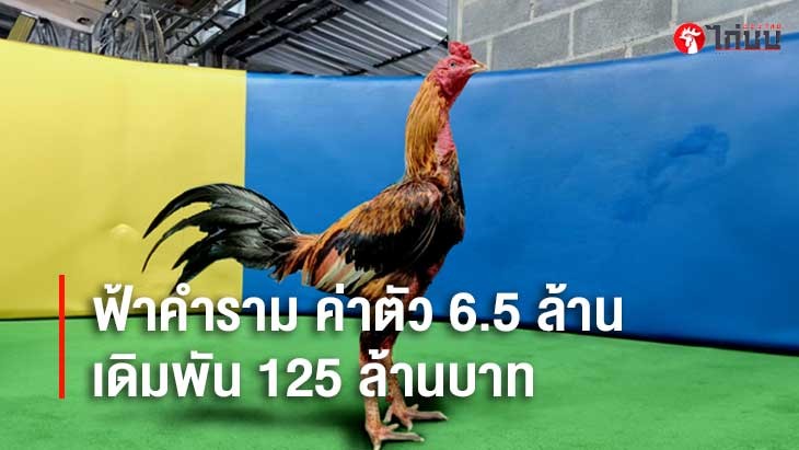 เจ้าฟ้าคำราม ค่าตัว 6.5 ล้านบาท